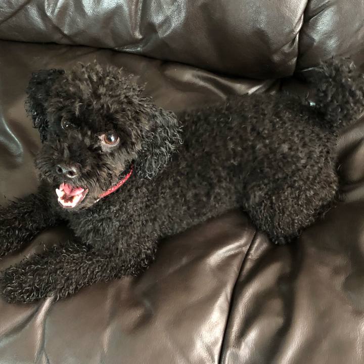 984f8875 0293 46ef 967e 128a38a7aadb 1565484189326