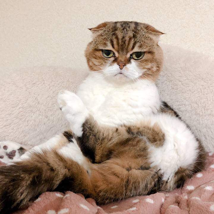 984f8a73 33d3 431b aa4b 9d3a6b1a9df7 1580386441051