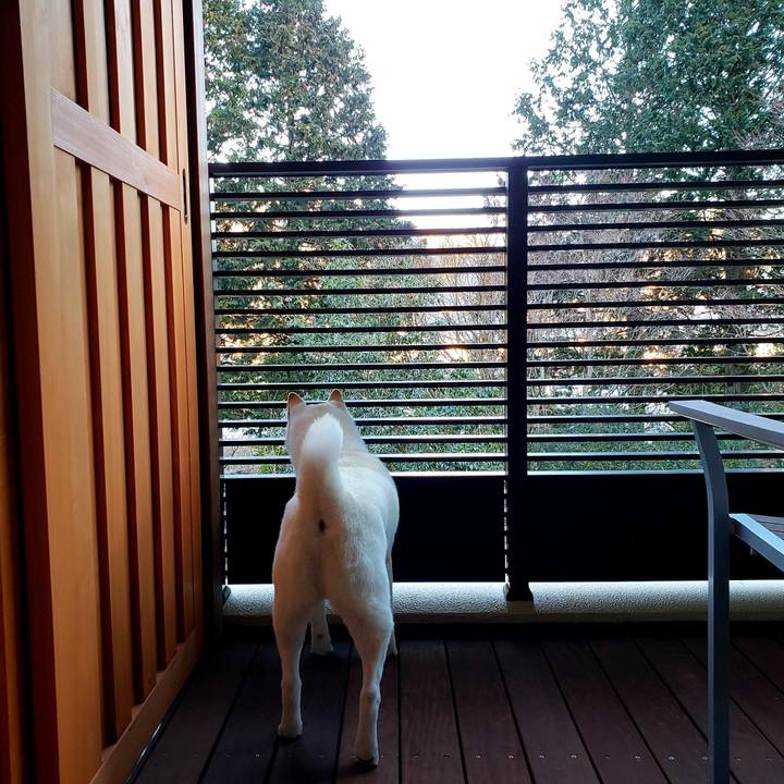 984f940c b951 4b92 93ef edeb38e2613a 1547856500590