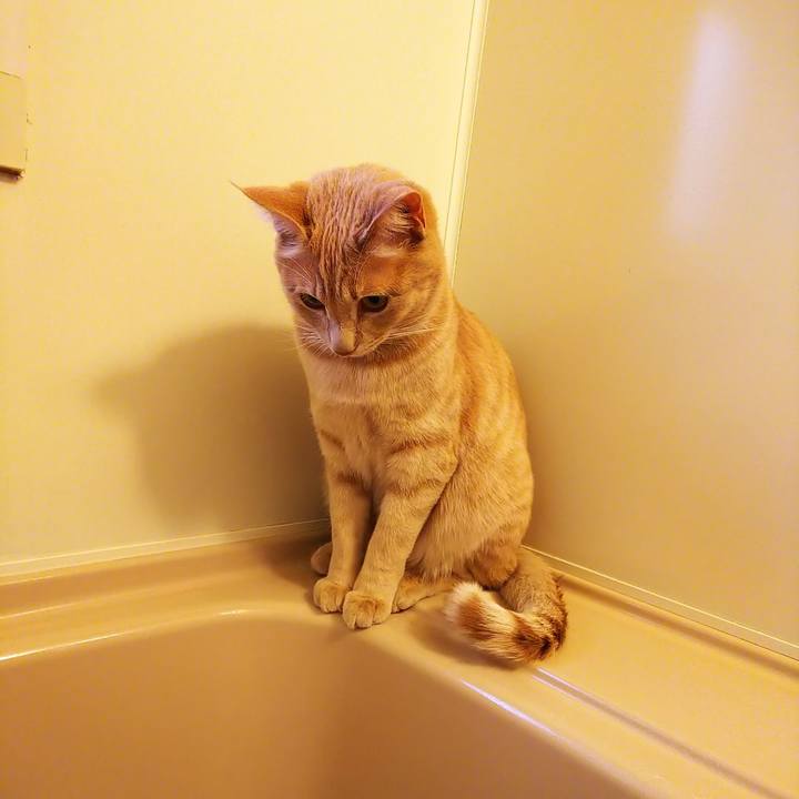 984fbf10 c745 45ca 95ad 82282f828642 1559467893451