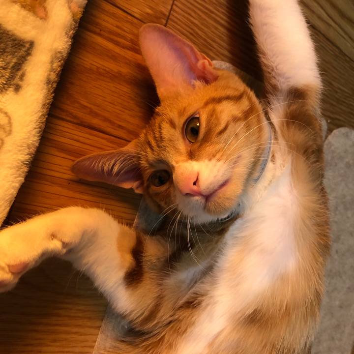 984fdb6c 6be9 40e2 8211 13bec9ce816b 1546774764500