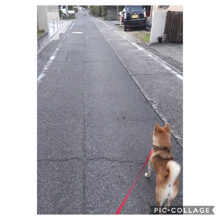 985035fd 8adc 4c8c b0c6 56e8040fe487 1664058579153