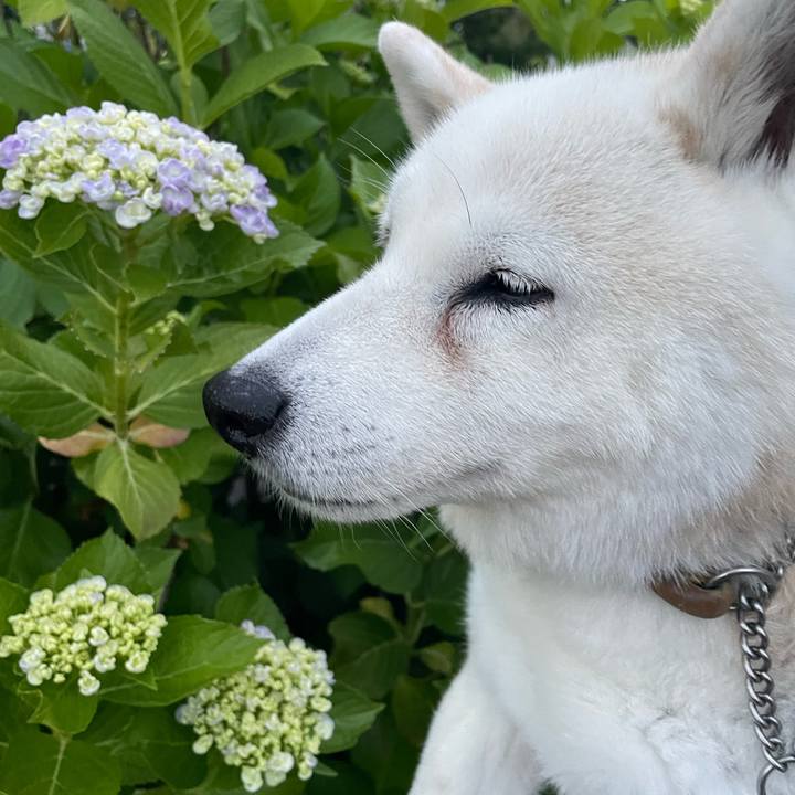 985079c5 ec1e 40b9 b04f 97aec9802af0 1716725224563