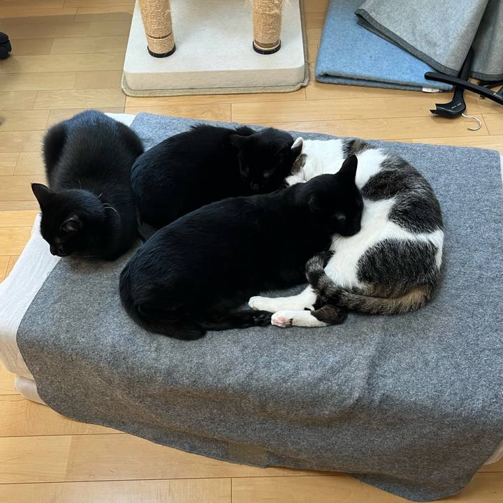 9850845a 7142 4a45 9bd8 69e7fc057020 1683611595524