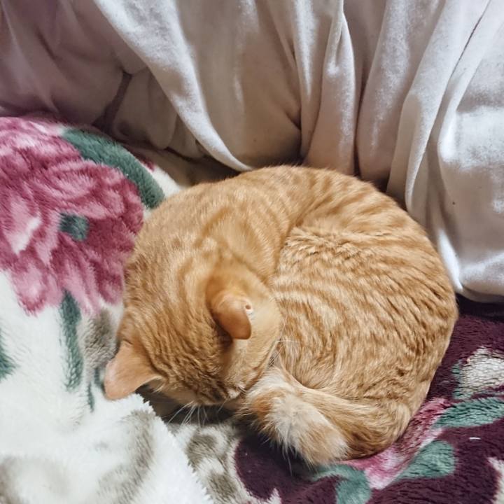 98509780 99c0 44bb bfe3 47b974c3bf7e 1645187464497