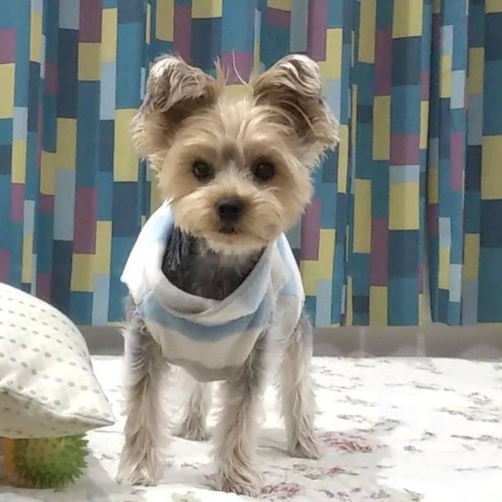 9850e7d0 701b 4924 a860 f4d8c995270c 1577067643828