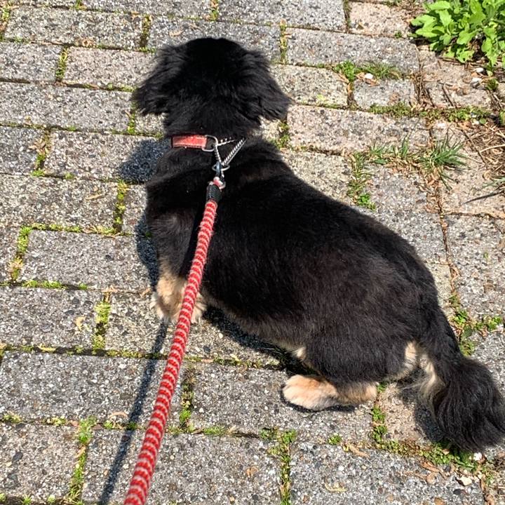 985146f9 2e0e 4f02 97d7 193f7fe67ae6 1587854053487