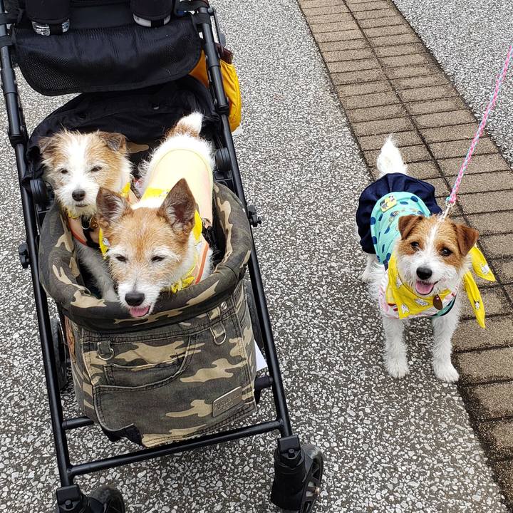 985158b8 9a83 4a42 aee1 498762ebc117 1560001762648