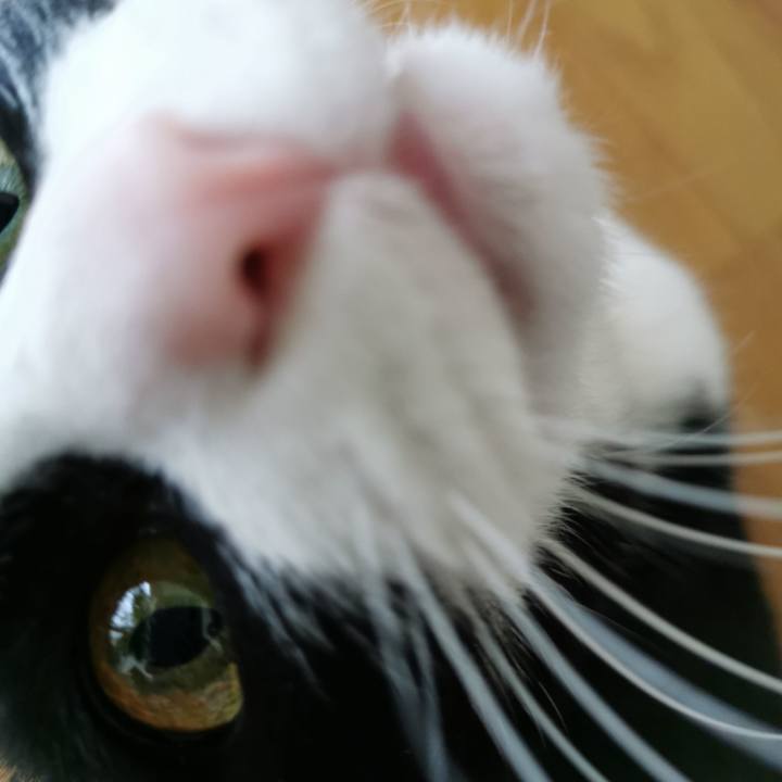 9851696f 6ad7 4d3a 94ec 86f0a6401d31 1616386527682