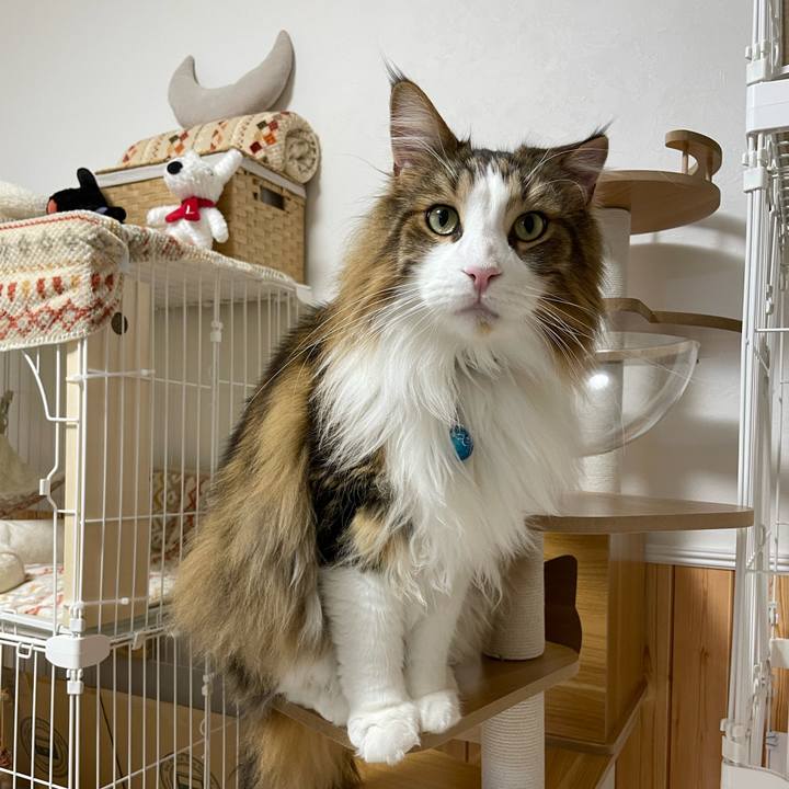 98519913 27b2 4d22 a6db c47fc8df089c 1711309307872