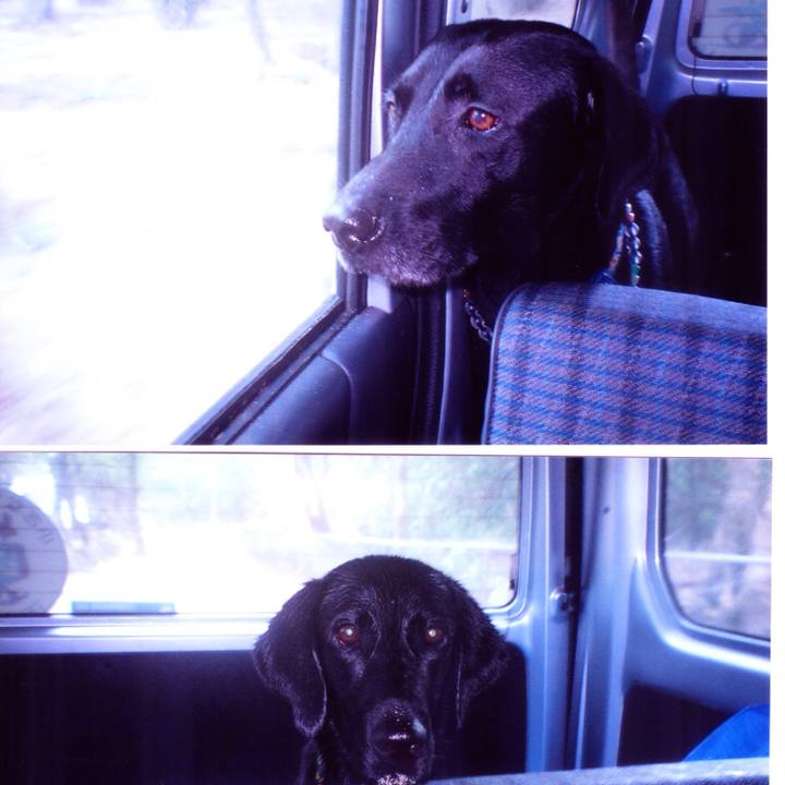 9851e702 7fdd 4976 ac4c f9e96af3523f 1529326032769