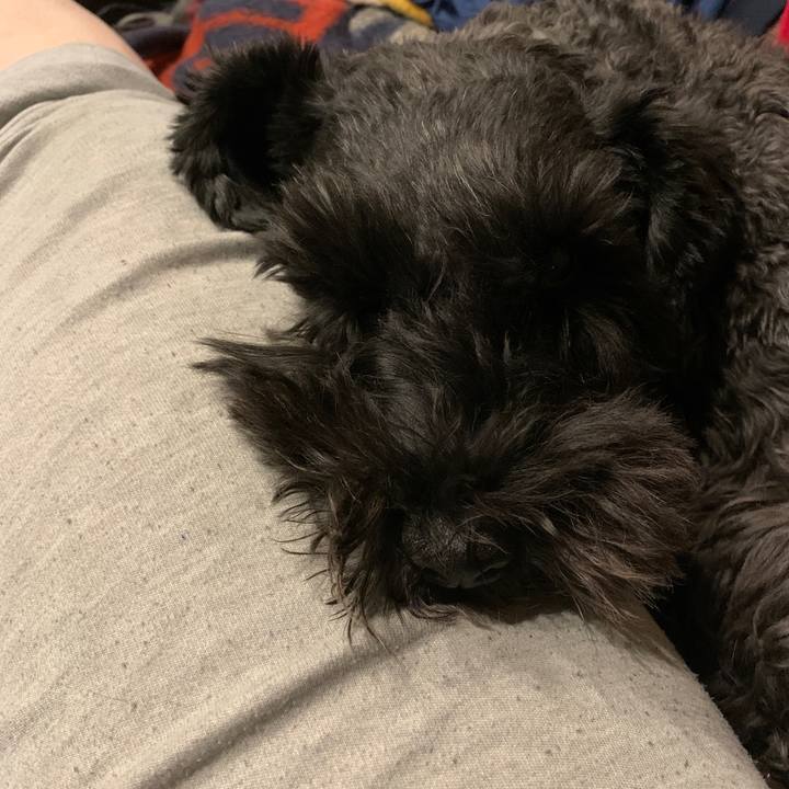 985221ca fa8d 4194 8c9f 74203f36c780 1638609255237