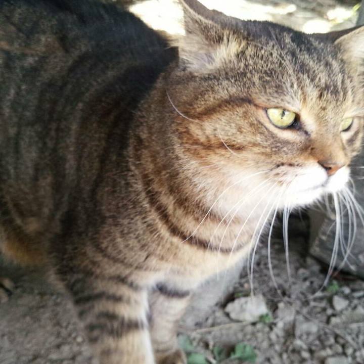 98523a55 7e82 4e82 967d a19cb7e2458f 1516068681269