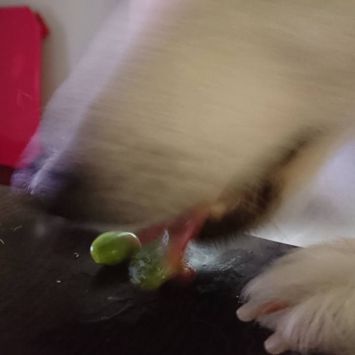 98523dfc b6ae 49f3 9151 62049393a3a6 1601341160171