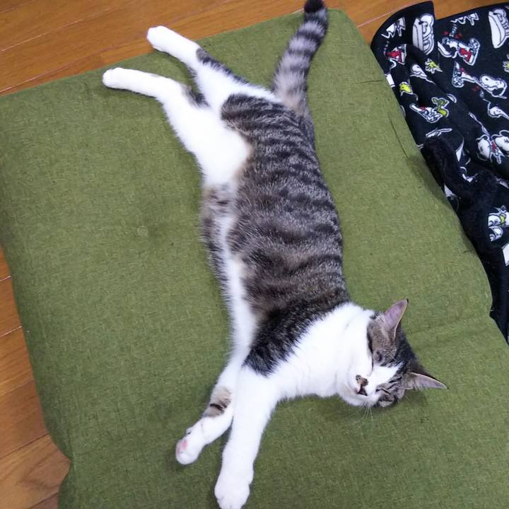 9852578b 8043 45eb 84d2 72e4a3164e53 1617025568980