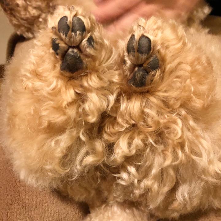 9852bf03 5f17 48c6 b68d 9317863c7617 1508591514271