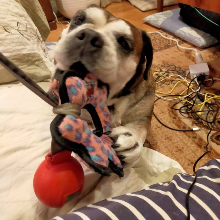 98531057 9375 4a34 8486 f14e3a10ccaf 1628733102581