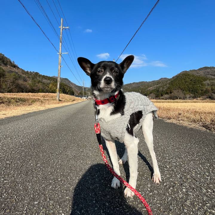 985340e9 6d43 4b4c 8cc7 215383cf1bf9 1672743488498