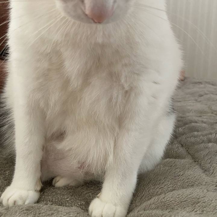 98536307 ef6e 4009 ae93 853763c02cd1 1603808458372