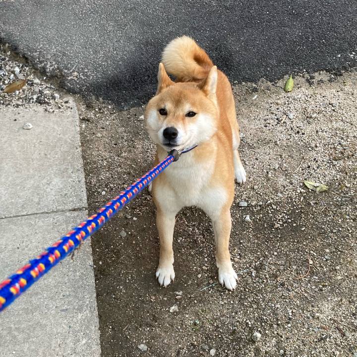 9853a7fd ba4b 4e56 97cc 18797d8a94d0 1650089858395