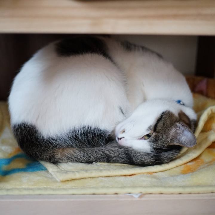 9853cc79 cc91 44f5 84c6 987f768b6d7a 1519689175089