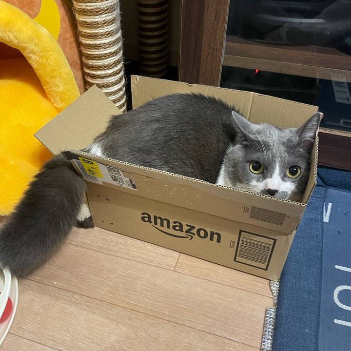 9853df55 9744 48ce 90b2 4e032ca55fdc 1699862715800