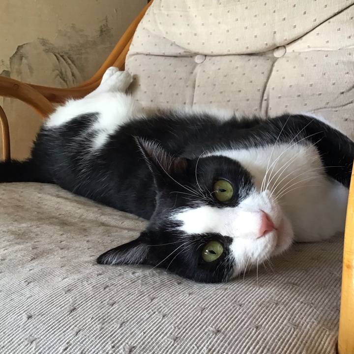 9853dfc4 055c 44d1 b0fa 6e49e046bda5 1755769409983