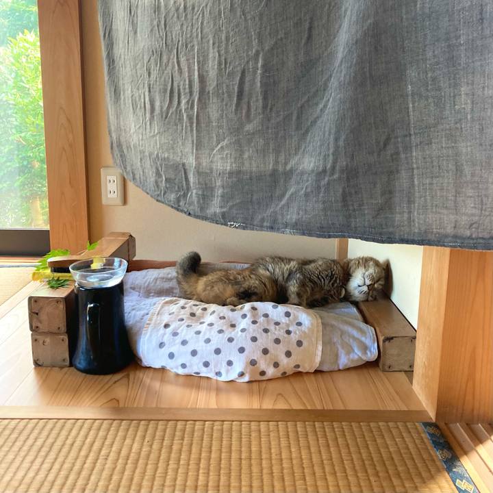 9853efde a01f 48f9 84b2 378341bce278 1627439640198