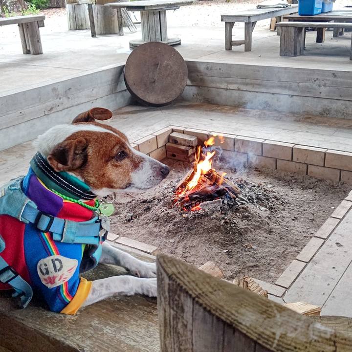 985411d8 fbd8 4924 a403 218a1d597364 1696808408176