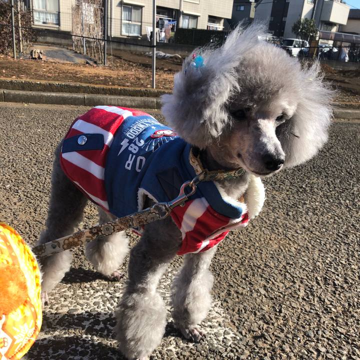 985426dd fd52 4f54 908e 747b9af1d727 1514542522735