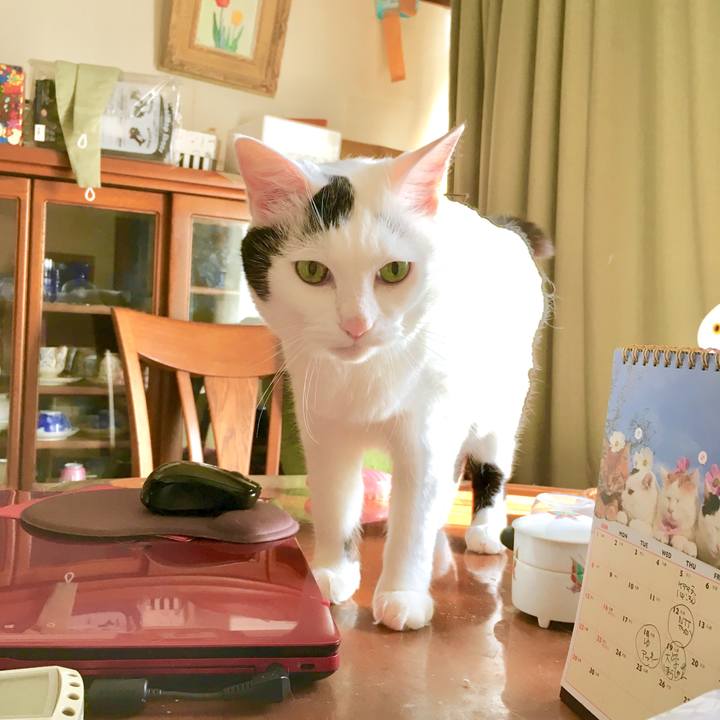 98545b80 769e 48a8 a8f2 6f0986be3e73 1568089557007