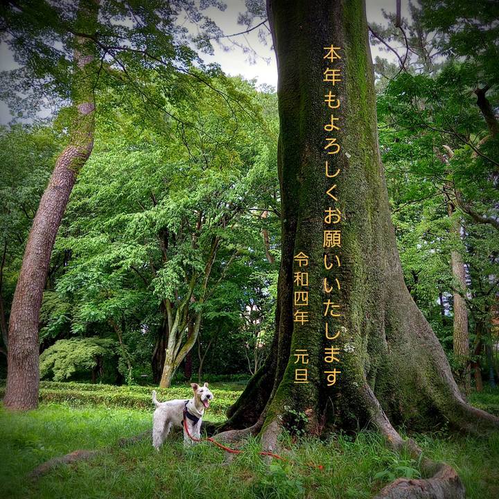 98546218 afbf 4500 b93f ddcbf5ac9dc8 1640990094187