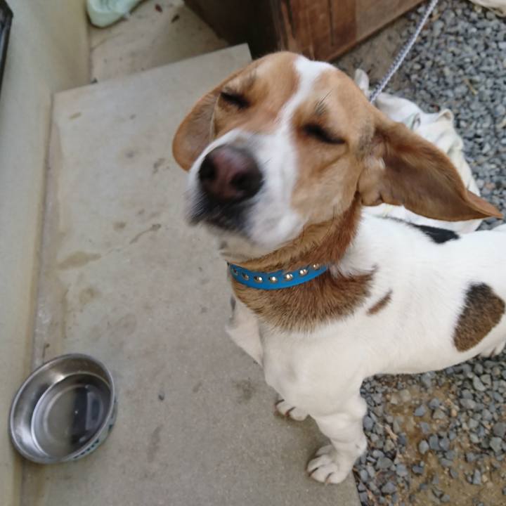 985469f1 8bff 4b9e 806e 7eda77e33192 1565360248161