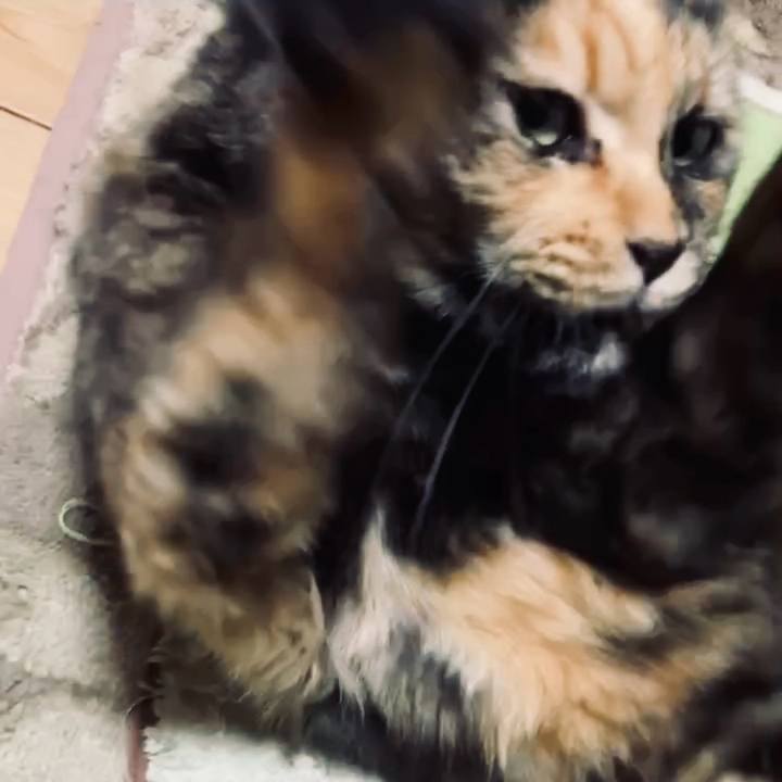 98547f5f 1184 4002 9d38 a15196d3564c 1735499577082