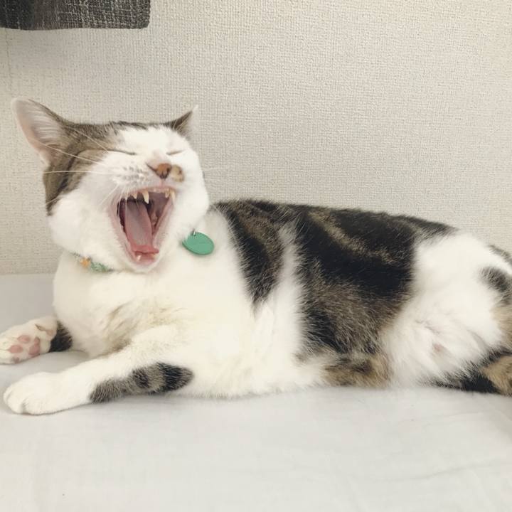 985495bc 6e31 4245 abf7 92811ca40257 1534919420969