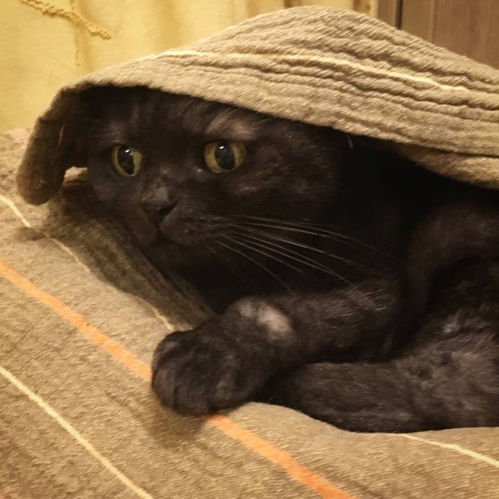 9854cb7d 8e36 4449 8ac2 2c458378d3fa 1539951641693