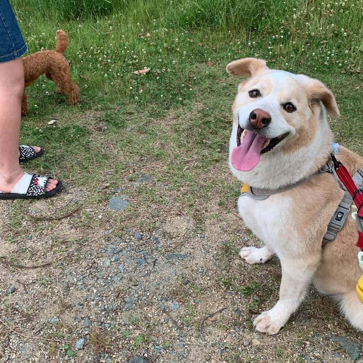 9854cf47 2fe9 46b4 b0f0 af7afcba0435 1591273804842