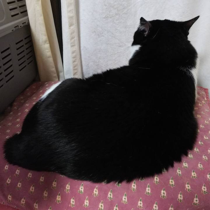 98550d36 b044 4681 a836 85ed3740c880 1548885941895