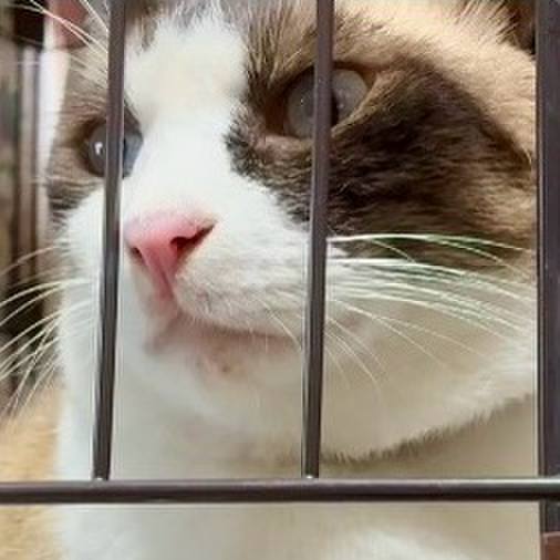 98550dc9 5248 47ab 88b0 2999ccb59485 1755078073086