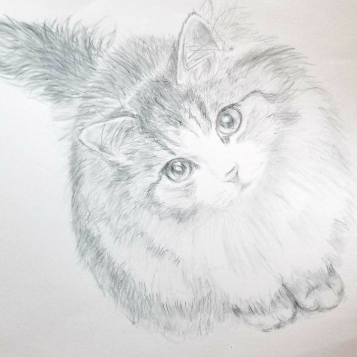 985558ae 3351 4da2 aa5e 675ff445a58e 1593605627503