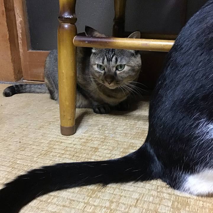 9855602e b9d9 49e3 960f e2d60ed400b6 1760087086148