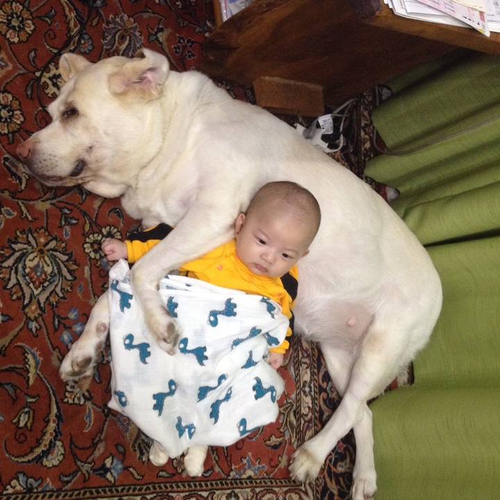 98557465 6fec 475a bb15 fe9f43a472b1 1514945637136