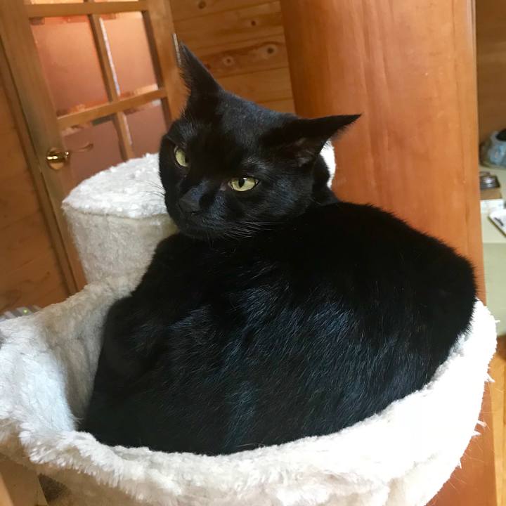 985580c0 368f 4613 a625 1e28da6d43e6 1532339333253