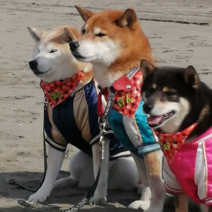 985584b7 f09b 4d13 ad2d 0faf8c8f778c 1707702054532