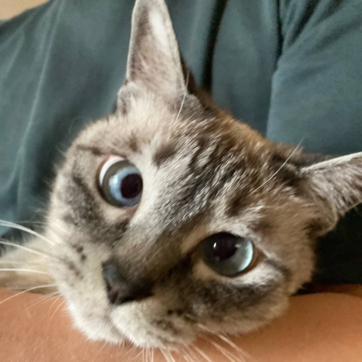 9855ab7e d7e7 4946 a10e 63995701be1f 1654332742464