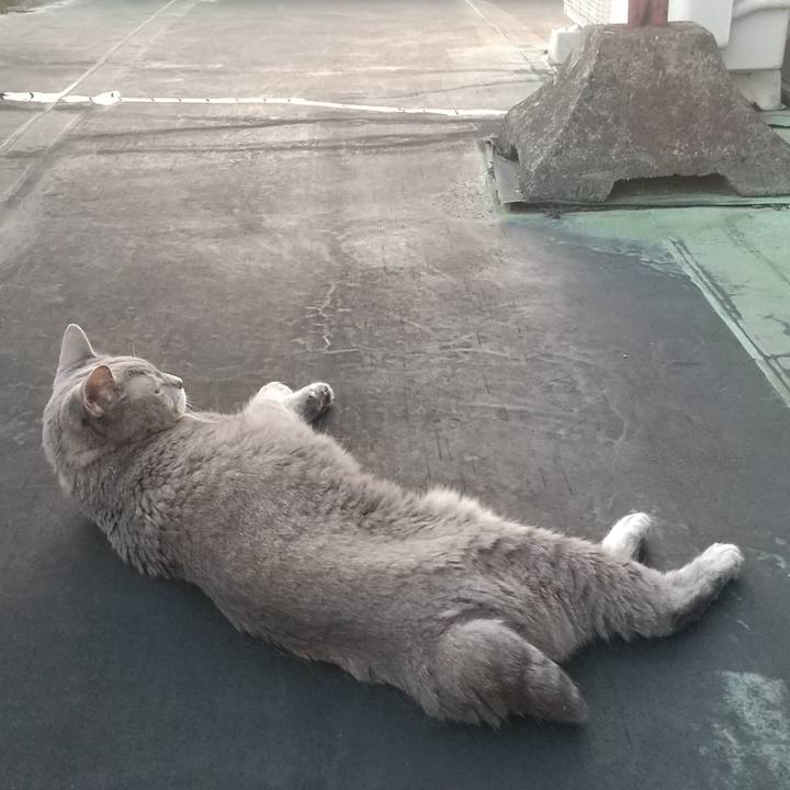 98562623 2dd6 4a79 af8b db407440c561 1663319412158