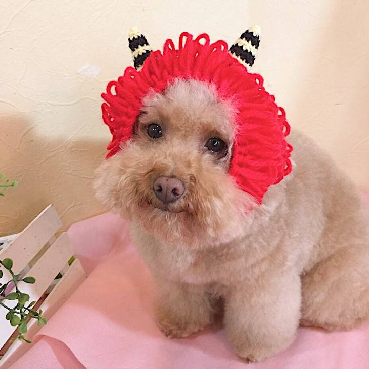 985639a0 9fe5 432b 9561 a6760cf9ac7b 1580726222354