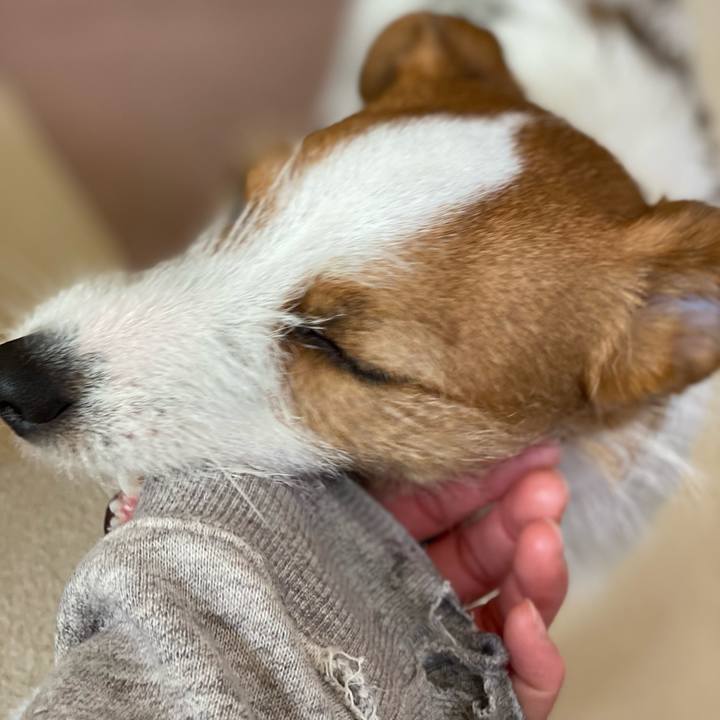 98565e37 9f7d 4624 83ba 253067280c70 1646014920470