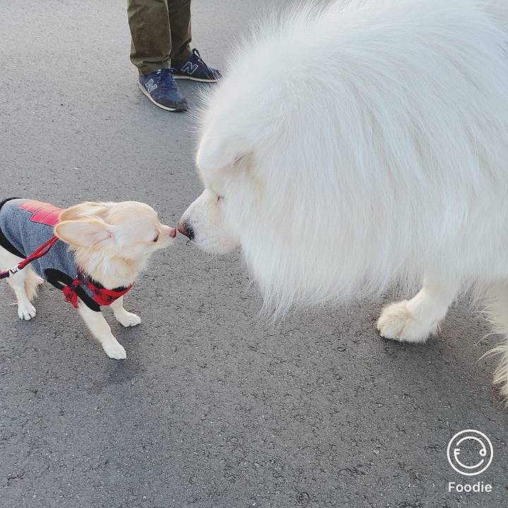 98567fea 6911 450f 9ecd 5218716a332f 1606554832784