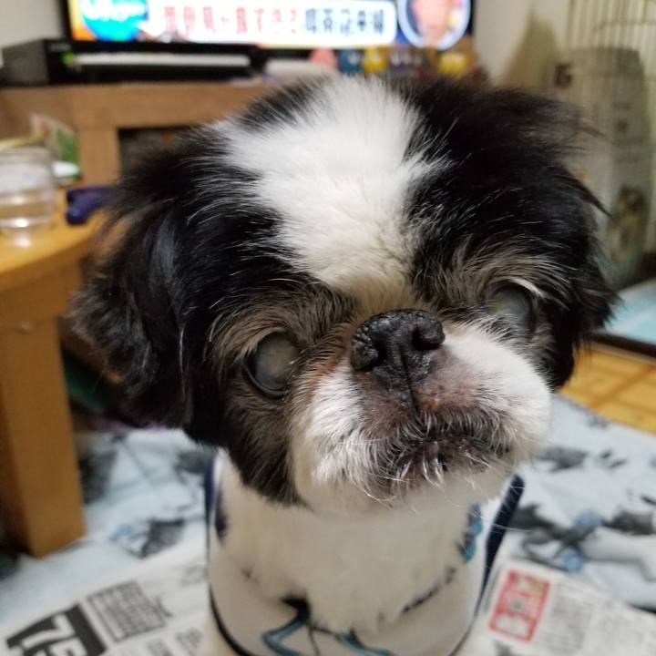 985684cb ae1d 4312 9d7c 0f3b0bf32190 1620124310832